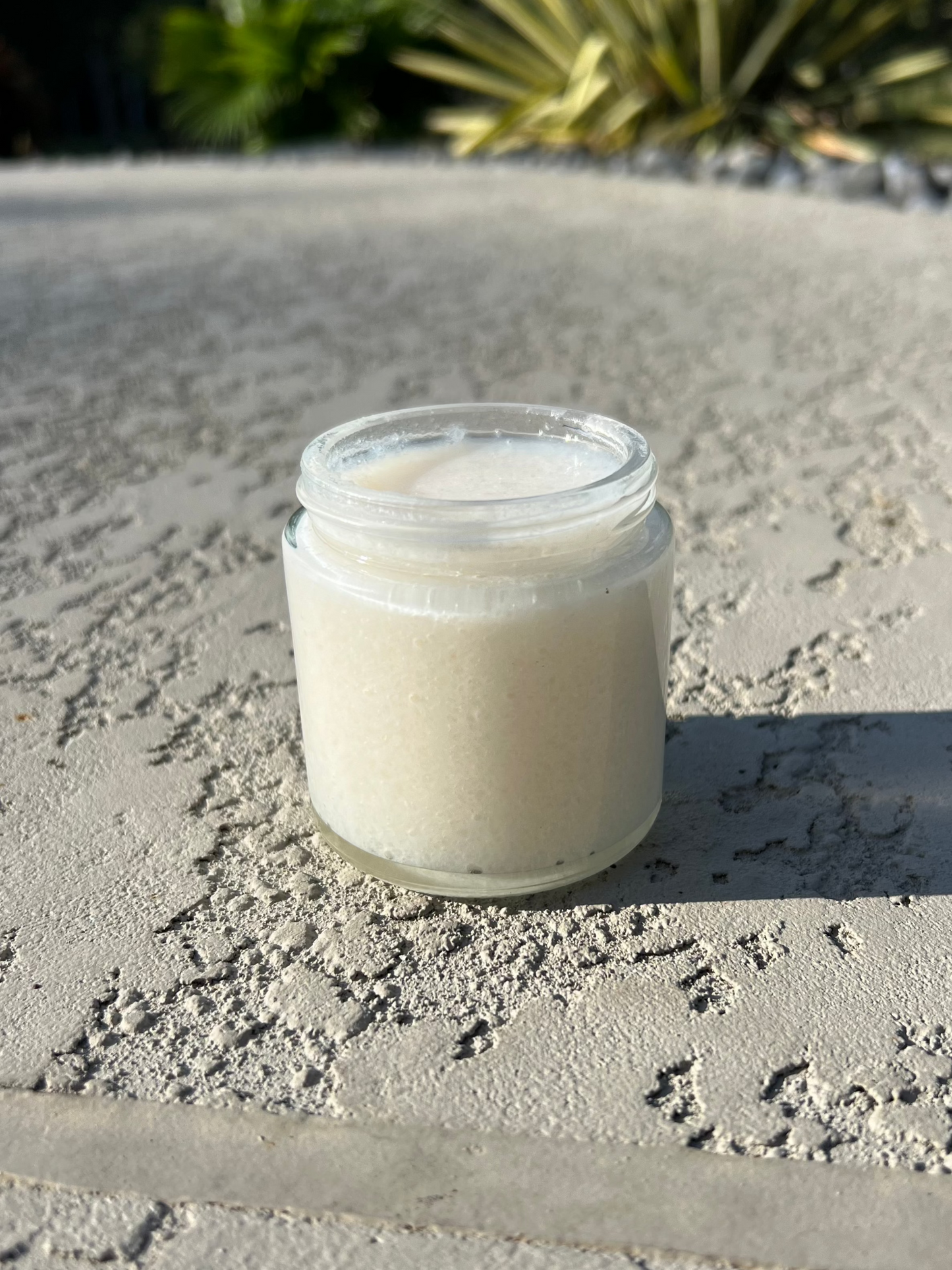 Unscented Dead Sea Salt Face Scrub 4oz